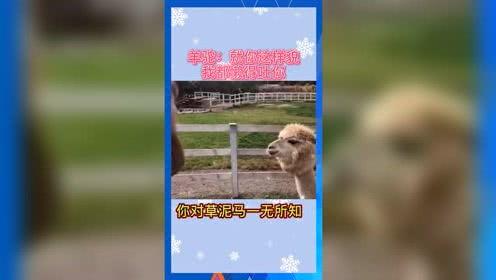 娱乐吃瓜2022,盘点年度热点事件与明星幕后故事  第1张